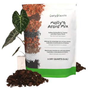 Molly's Aroid Mix - Premium Tropical Plant Soilless Potting Mix