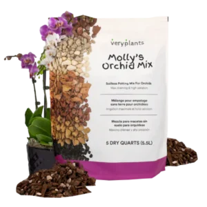 Molly's Orchid Mix - Premium Soilless Orchid Potting Mix